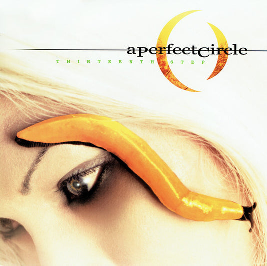 A Perfect Circle- Thirteenth Step